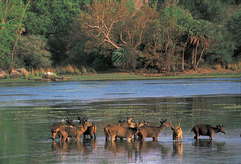 The Oberoi Vanyavilas Wildlife Resort, Ranthambhore Савай Мадхопур Екстериор снимка